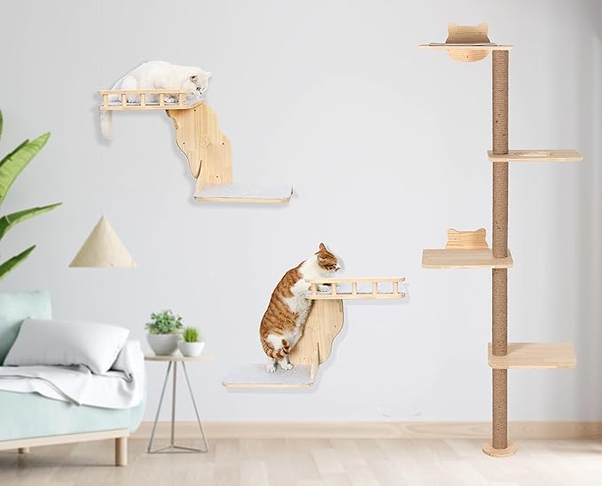 Wall Mounted Cat Shelves for Inside,2-Levels Wall Perch with Scratching Mat,Solid Pine Wood Floating Furniture for Climb,Lounge and Sleep (Right)
