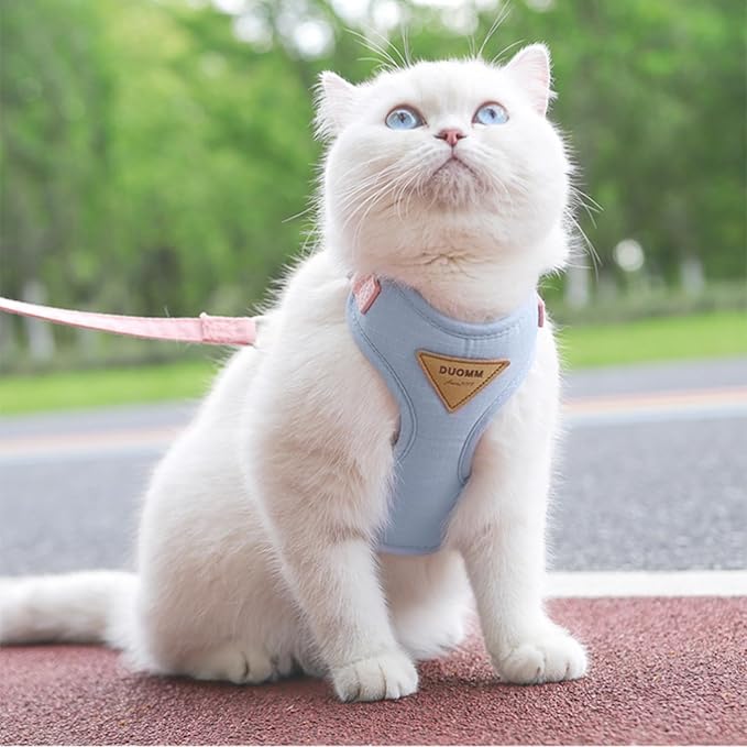 Escape-Proof Cat Harness and Leash Set - Adjustable and Comfortable - Ideal for Walking Cat Outdoors - Fits Kittens, Medium, and Large Cats (Blue, L)