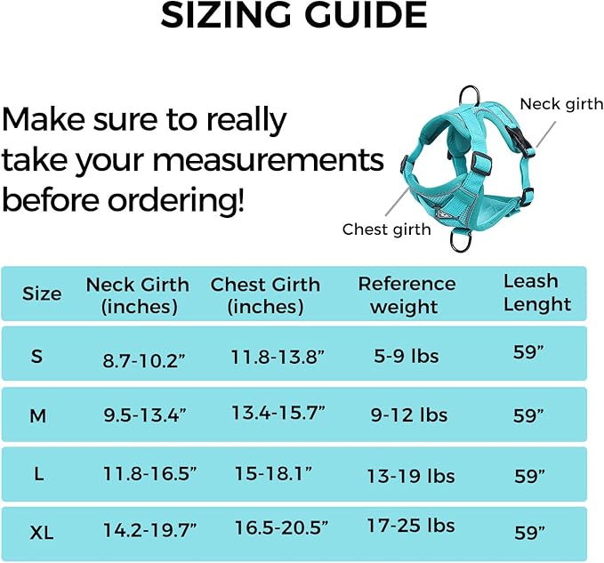 Cat Harness and Leash Set Escape Proof Tactical Small Kitten Harness Emotional Support Cat Vest, Turquoise, S