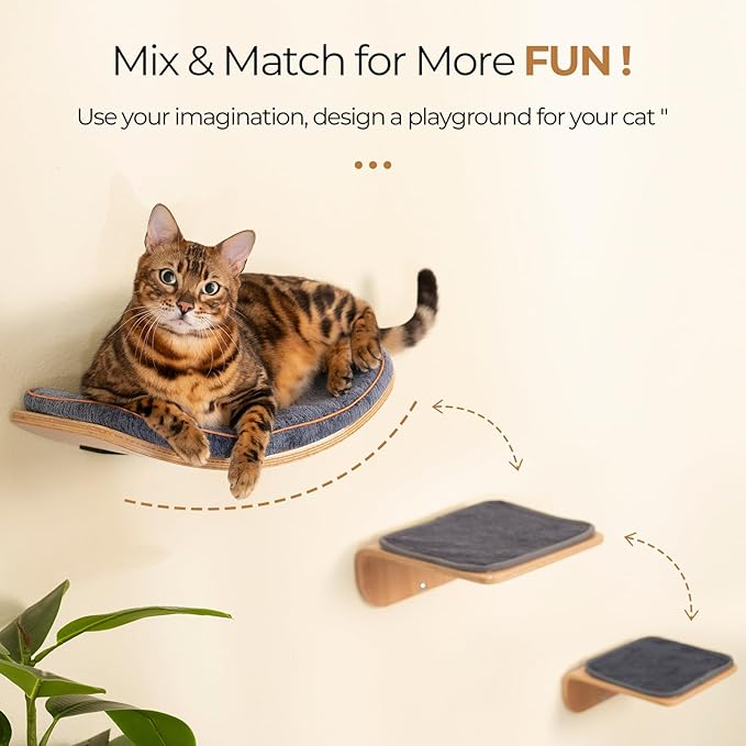 Cat Shelves, Cat Wall Steps and Perch, Cat nest, Wooden Floating Cat Climbing Furniture for Hopping and Sleeping, with Scratching Cushion(Combo)