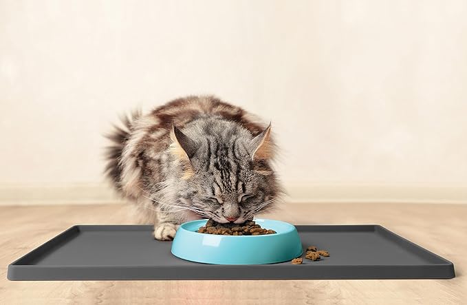 CatGuru Whisker Stress Free Cat Bowls - Wide, Non Slip, Shallow Dish for Cat Feeding & Watering (Aruba)