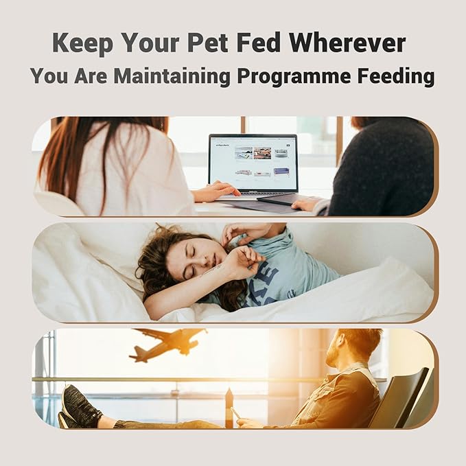 Dual Automatic Cat Feeder: Cat Feeder Automatic for 2 Cats- Timed Auto Feeder 16 Cups/4L Cat Food Dispenser& Dual Power Auto Pet Feeder for Indoor Cat&Dog| 1-6 Meals Portions Control