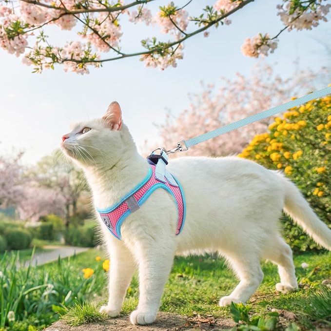 SCENEREAL Cat Harness and Leash Set Escape Proof, Adjustable Soft Air Mesh Kitten Harnesses for Girls Boys Small Medium Big Cats, Reflective Light Travel Pet Walking Vest for Puppy Rabbit, Pink L