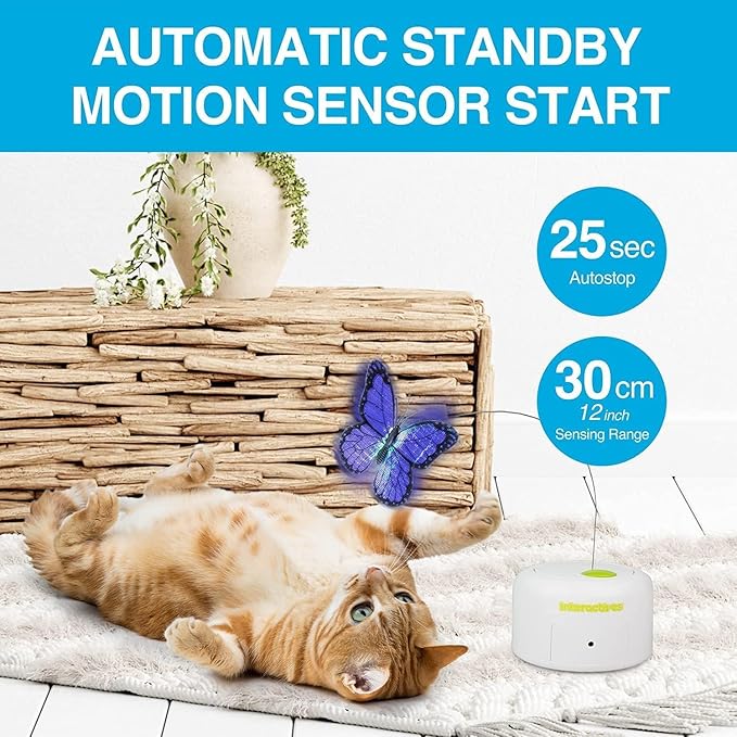 ALL FOR PAWS Interactives Cat Teaser Toy Catnip Toy Flutter Bug Cat Wand Toy Cat Fun Playing Toys Kitten Toys (Shiny Butterfly)