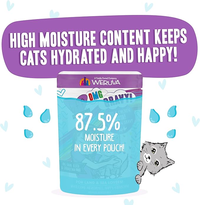 Weruva B.F.F. OMG - Best Feline Friend Oh My Gravy!, Booya! Beef & Chicken in Gravy Cat Food, 2.8oz Pouch (Pack of 12)
