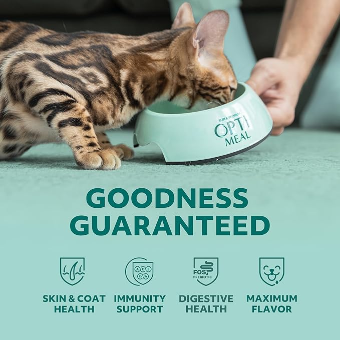 OPtimeal Grain Free Cat Food - Proudly Ukrainian - Healthy Cat Food Dry Recipe for Gut Health, Tasty Dry Cat Food with Immunity Support for Adult Cats (8.8 lbs, Chicken & Veggies)
