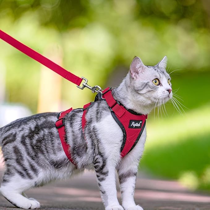PUPTECK Cat Harness and Leash Set Escape Proof for Walking, Breathable Mash Vest Adjustable Harness for Cats Puppy Small Animals, Reflective at Night, Red Medium