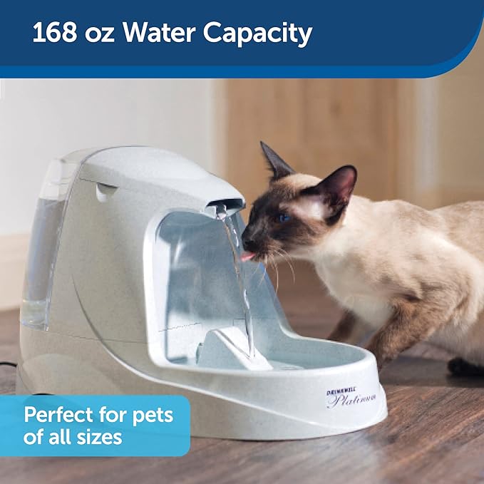 PetSafe Drinkwell Platinum Cat Water Fountain (168 oz/5L) - Pet Fountain for All Pet Sizes, Indoor Use, Encourages More Drinking, Includes Replaceable Carbon Filter, Grey