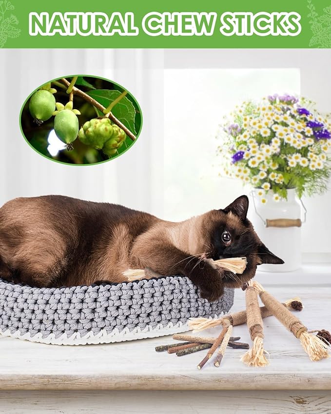TINDTOP Silvervine Sticks, 10 Pack Natural Catnip Chew Toys for Kittens Teeth Cleaning, Increase Appetite, Calm Anxiety and Stress, Aggressive Chewers Toy