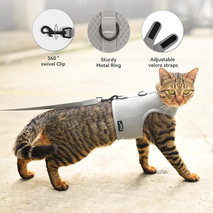 Kitty Harness and Leash for Walking Escape Proof Breathable Mesh Fabric, Solid Grey, X-Small, Adjustable Cat Walking Jackets, Padded Stylish Cat Vest