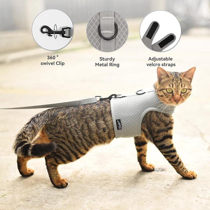 Kitty Harness and Leash for Walking Escape Proof Breathable Mesh Fabric, Solid Grey, Small, Adjustable Cat Walking Jackets, Padded Stylish Cat Vest