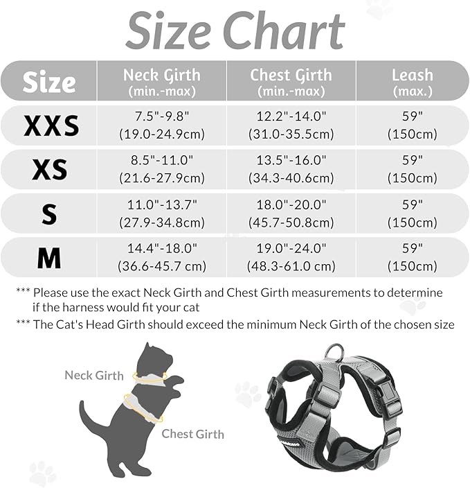rabbitgoo Cat Harness and Leash for Walking, Escape Proof Soft Adjustable Vest Harnesses for Cats, Easy Control Breathable Reflective Strips Jacket, Grey, XXS