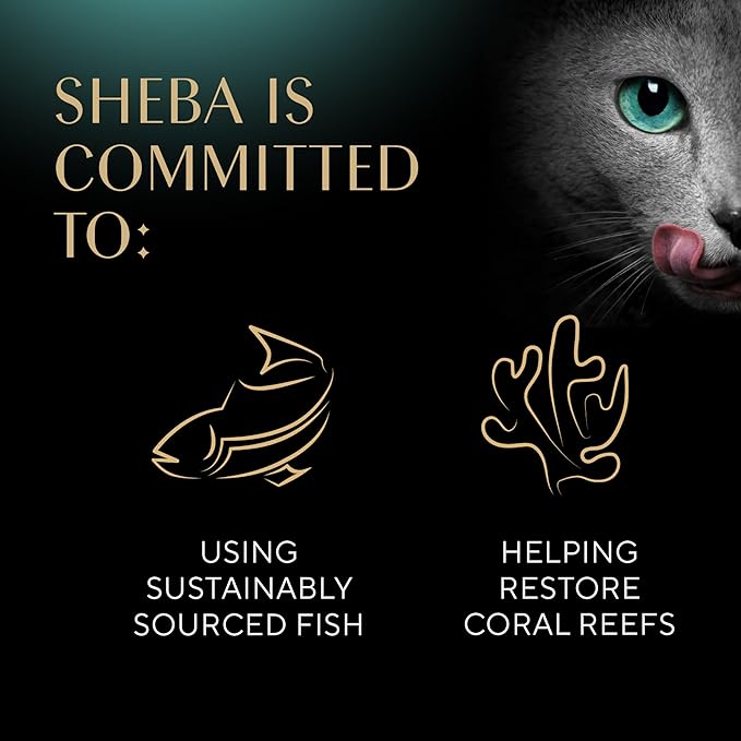 Sheba Perfect Portions Bistro Adult Wet Cat Food, Salmon in Creamy Sauce Entree, (24) 2.6 oz. Twin-Pack Trays