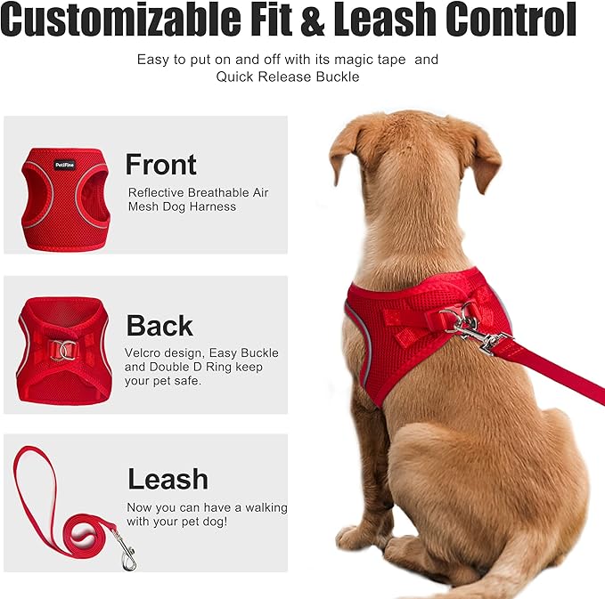PetiFine Step in Small Dog Harness and Leash Set, Breathable All Weather Air Mesh Reflective Escape Proof, Step-in Vest Harnesses for Puppy(S, Red)