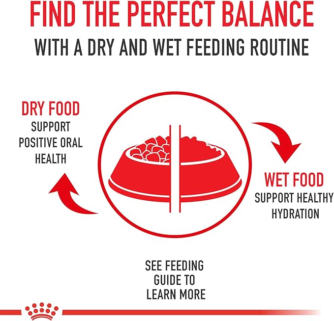 Royal Canin Feline Care Nutrition Digestive Care Loaf in Sauce Canned Cat Food, 5.1 oz can (24-count)