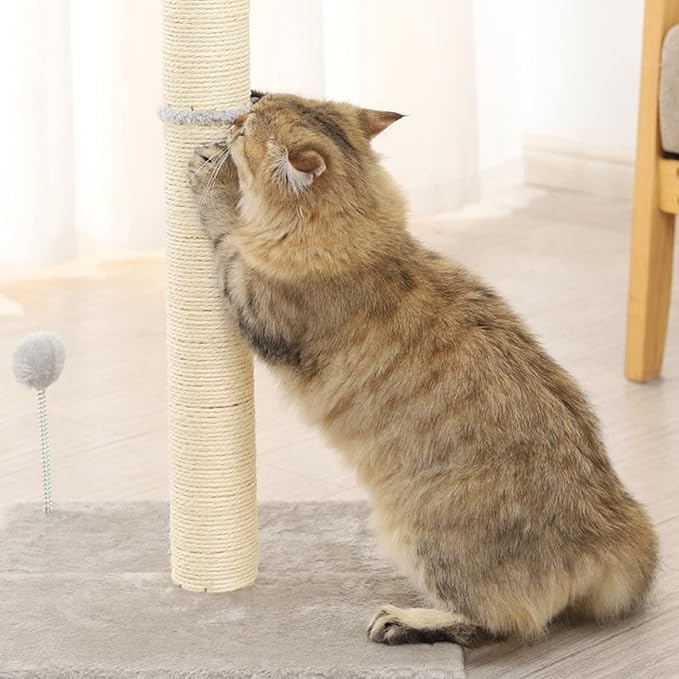 10" Cat Scratching Replacement Posts Sisal Spare Scratcher Refill Post for Cats Cube Tower Kittens Scratch Pole Perch Interactive Toys Furniture Accessories Tree 2 Pack Include M8 Screws White