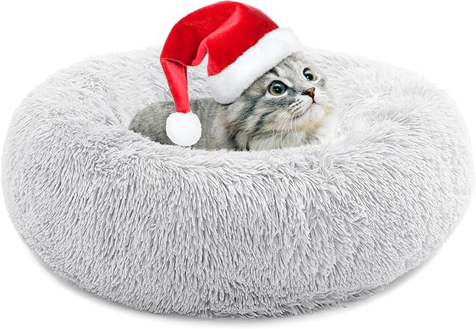 Small Cat Bed for Indoor Cats, Self-Warming Donut Kitty Bed for Small Cats Keeping Warm, Washable Pet Bed with Anti Slip Base, 20‘’ Darkgrey