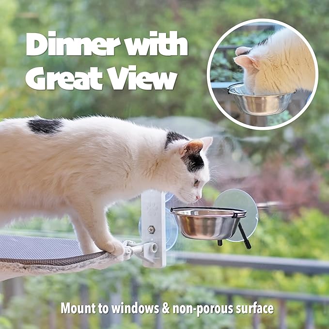 PETKARAY Window Cat Bowls, Cat Food Bowl for Window, Dog Proof Cat Feeding Station, Foldable Stainless Kitty Bowl 12 Ounces (Pack of 2)