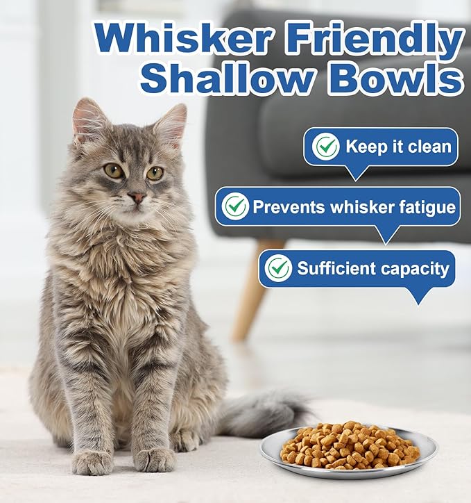 Supet Cat Plates for Wet Food, Non Slip Cat Food Bowls Whisker Friendly, Stainless Steel Shallow Wide Cat Dishes for Indoor Cats (13Oz, 2Pcs)