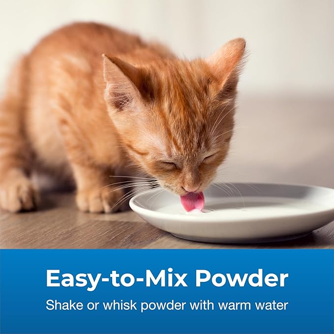 Pet-Ag KMR 2nd Step Kitten Weaning Food - 14 oz, Pack of 3 - Powdered Kitten Weaning Formula with DHA, Natural Milk Protein, Vitamins & Minerals for Kittens 4-8 Weeks Old - Easy to Digest