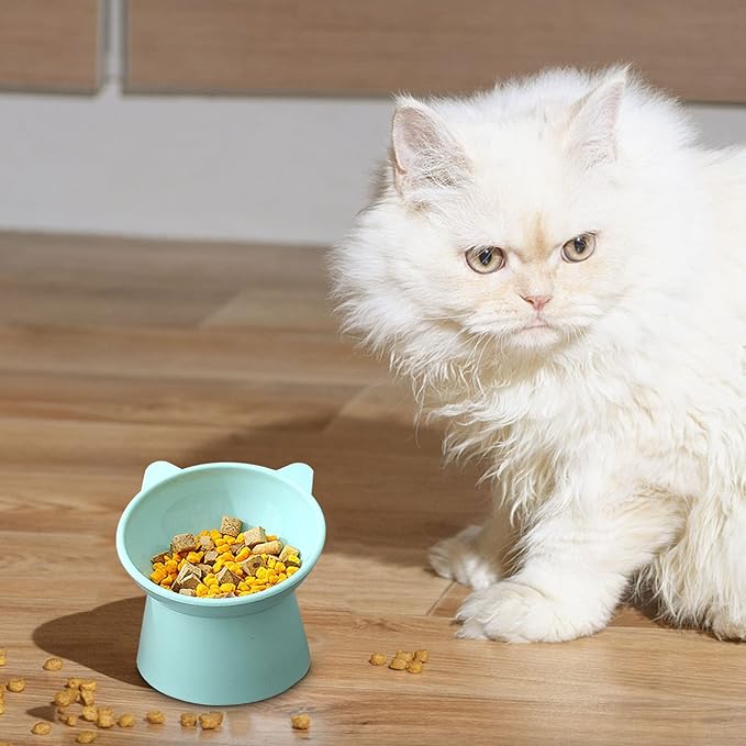 Tilted Elevated Cat Food Bowl - Cat Bowls Whisker Friendly Anti Vomiting Slanted Cat Feeding Bowls Cute Shallow Cat Bowl (Tall Cat Bowl-Green)