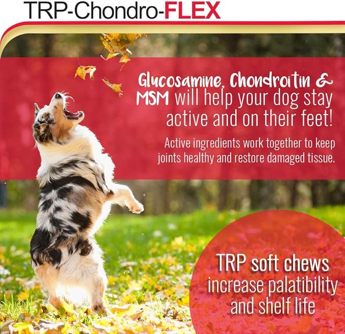 PHS TRP-Chondro-Flex Joint Support Supplement for Dogs - Glucosamine, MSM, Chondroitin - Hip and Joint Pain Relief and Support - Made in USA - 120 Soft Chews