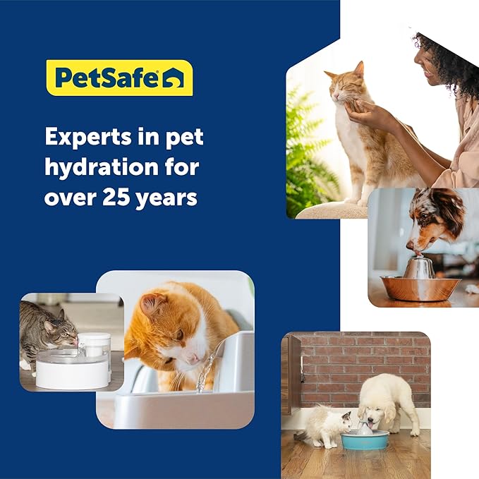 PetSafe Ion-X Cat and Dog Fountain Filters, 4-Pack, Dual Filtration for Cleaner and Fresher Water, Replacement Water Fountain Filter for PetSafe Outlast Pumpless Pet and Viva Pet Water Fountains