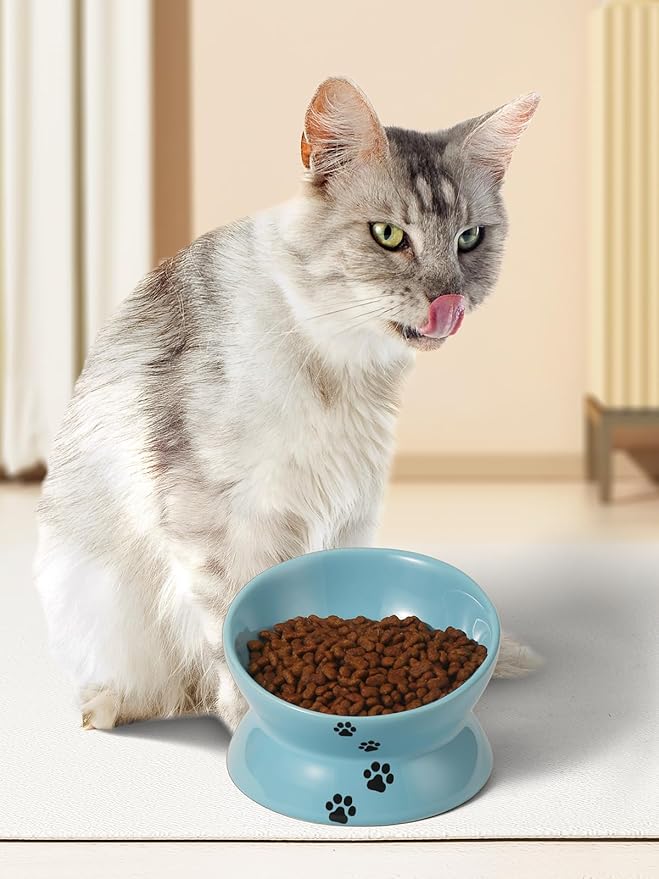 Y YHY Elevated Cat Food Bowl, Ceramic Raised Cat Bowl, Tilt Angle Protect Cat's Spine, Anti Vomiting Cat Dish, Backflow Prevention, Lake Blue