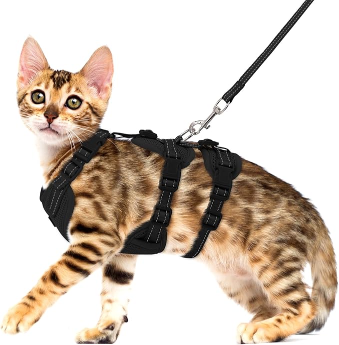 Fully Escape Proof Cat Harness and Leash Set for Walking, Adjustable Soft Kitten Vest with Reflective Strip for Small Medium Large Adult Cats, Breathable Kitty Harness,Black M