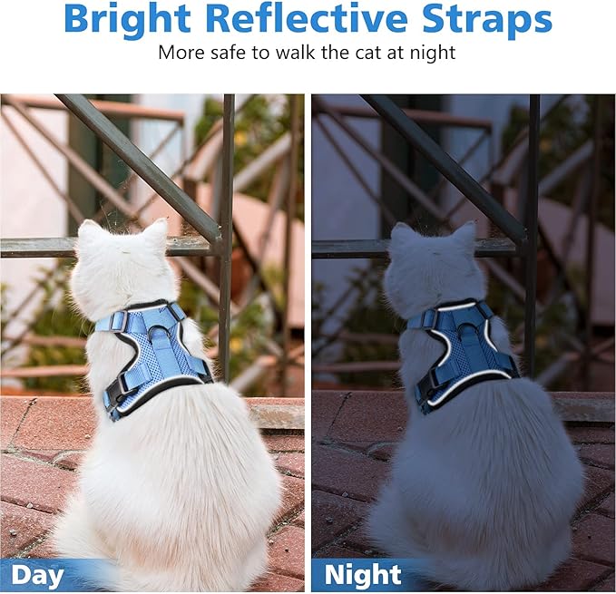 Dooradar Cat Harness and Leash Set, Escape Proof Safe Adjustable Kitten Vest Harnesses for Walking, Easy Control Soft Breathable Mesh Jacket with Reflective Strips for Cats, Light Blue, S