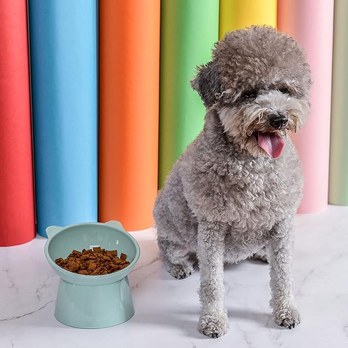 Tilted Elevated Cat Food Bowl - Cat Bowls Whisker Friendly Anti Vomiting Slanted Cat Feeding Bowls Cute Shallow Cat Bowl (Tall Cat Bowl-Green)