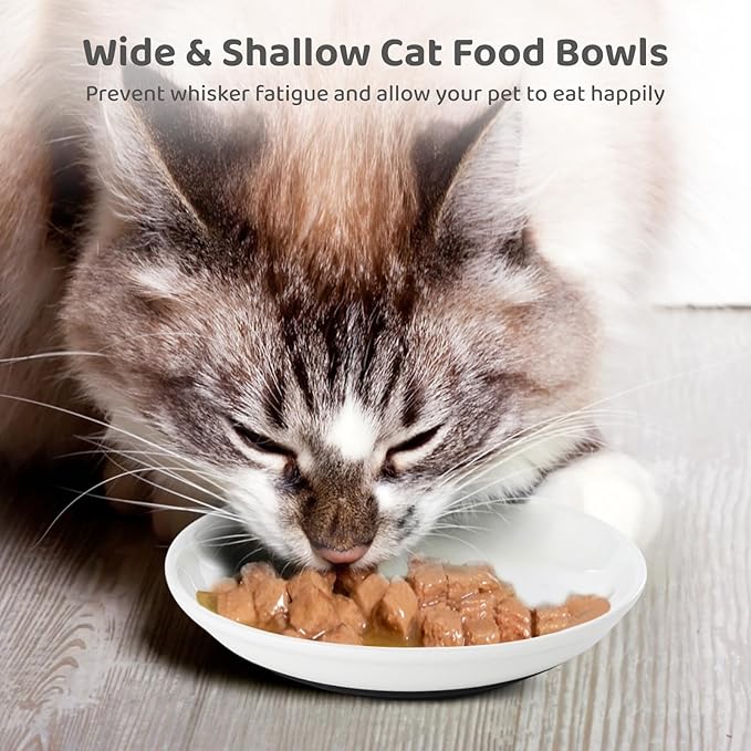 Dorakitten Ceramic Cat Bowls 6 Pack, No Whisker Fatigue Wide Shallow Cat Dishes with Non-Slip Silicone Bottom, Pet Food & Water Plates, 5.9 Inches Diameter