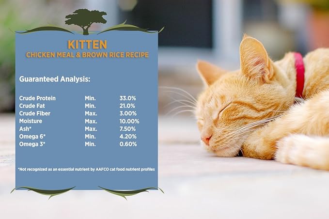 Blackwood Pet Food 22340 Kitten Food, Chicken Meal & Brown Rice Recipe, 6kg.
