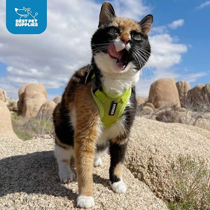 Voyager Step-in Lock Adjustable Cat Harness w. Cat Leash Combo Set with Neoprene Handle 5ft - Supports Small, Medium and Large Breed Cats by Best Pet Supplies - Pink, XXXS
