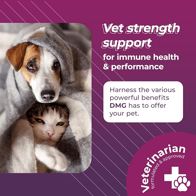 VetriScience Vetri DMG Liquid Drop - 114ml Bottle - Immune Support Supplements for Dogs and Cats