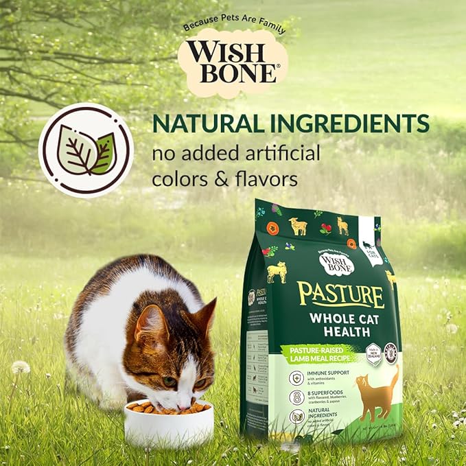 Wishbone Pasture New Zealand Lamb, Gluten Free, Grain Free Dry Cat Food, Premium Lamb Recipe Cat Food for Overall Pet Health - 4 lb