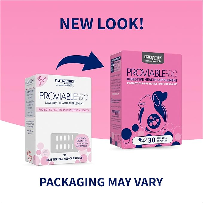 Nutramax Proviable Digestive Health Supplement Multi-Strain Probiotics and Prebiotics for Cats and Dogs - With 7 Strains of Bacteria, 30 Capsules