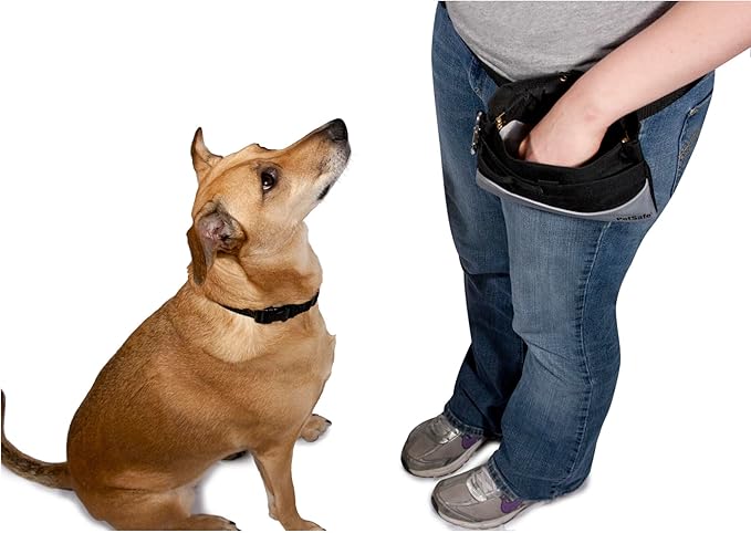 PetSafe Treat Pouch Sport- Durable, Convenient Dog Training Accessory, Standard, Black