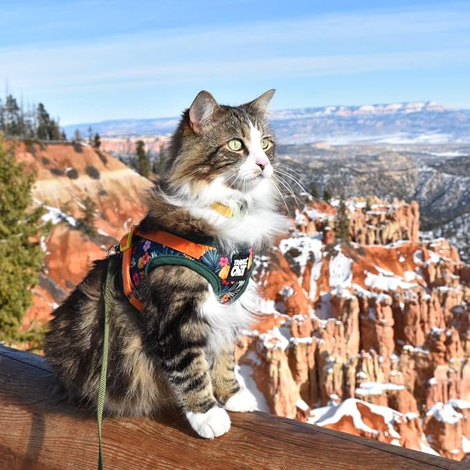 Travel Cat Harness and Leash Set - Adjustable Fit Mesh Cat Harness and Reflective Strap - Comfort Escape Proof Harness for Cats, Kitten for Outdoor Walking, Hiking (Medium, Hawaiian)