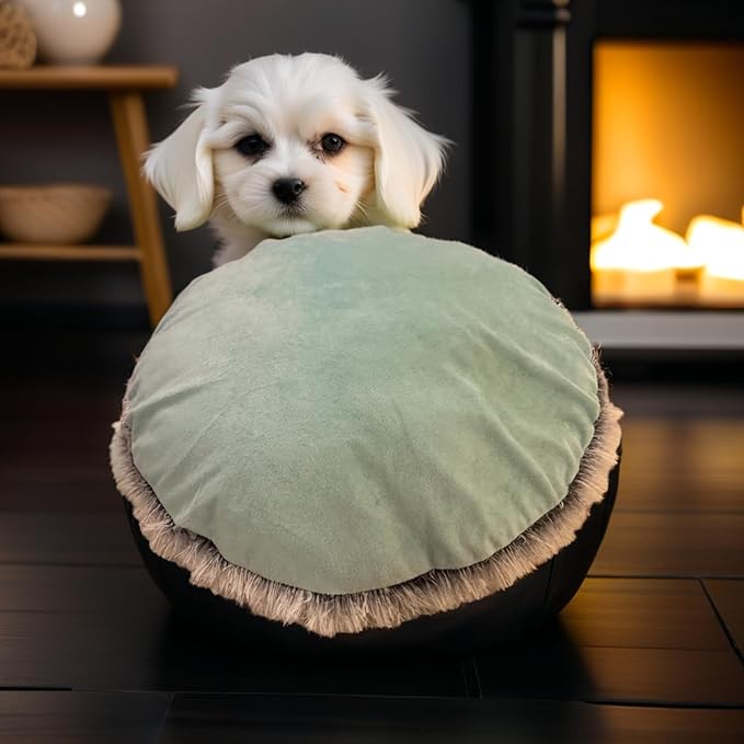 TRYSTYTAILZ Dog Bed Pillowcase | Fluffy Dog & Cat Bed, Luxurious Grey Faux Fur & Cool Mint Velvet for Dogs and Cats All-Season Comfort, Non-Slip Base, Machine Washable, Designed in The UK (X-Small)