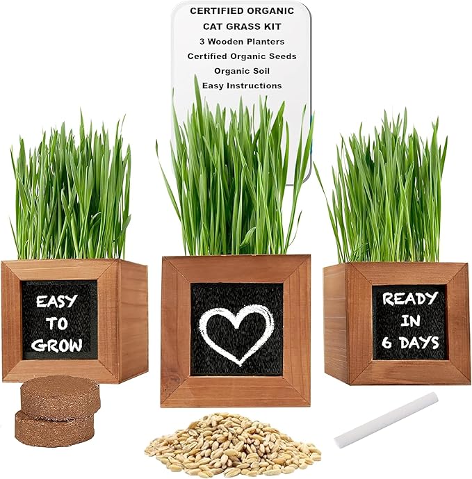 Organic Indoor Cat Grass Kit - 3 Wooden Planters, Certified Seeds, and Premium Soil for Happy Cats. Delight Your Feline Friends with The Ultimate Cat Grass Experience! Ideal Gift for Cat Lovers.