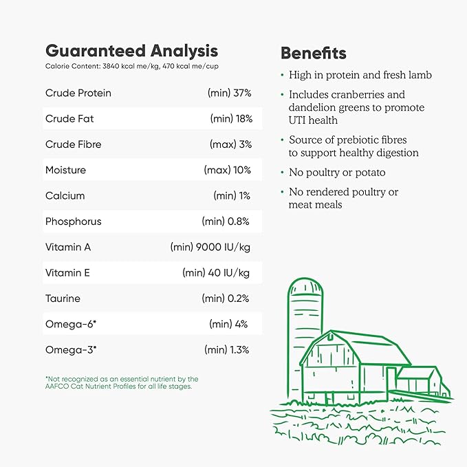 Open Farm Pasture-Raised Lamb Grain-Free Dry Cat Food, Humanely Raised Lamb Recipe with Non-GMO Superfoods and No Artificial Flavors or Preservatives, 2 lbs