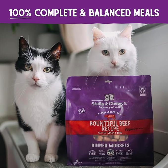 Stella & Chewy's Freeze-Dried Raw Cat Dinner Morsels – Grain Free, Protein Rich Cat & Kitten Food – Bountiful Beef Recipe – 3.5 oz Bag