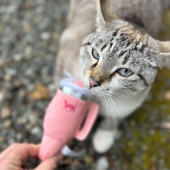 Kitty Cup Tumbler Cat Toy – Small Crinkle Catnip - Funny and Cute Kitten Toys with Cat Nip for Fun Indoor Play, Unique Kitty Birthday Gift, Aesthetic Kitten Present (Chambray Blue)