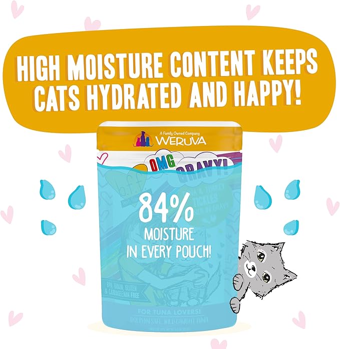 Weruva B.F.F. OMG - Best Feline Friend Oh My Gravy!, Tuna & Turkey Tickles with Tuna & Turkey in Gravy Cat Food, 3oz Pouch (Pack of 12)