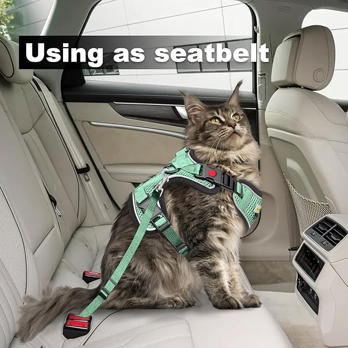 Cat Harness and Leash for Walking, Retractable Cat Harnesses and Leash Set Escape Proof, Breathable Soft Kitten Harness Small Large Cat Harness for Travel Training and Walking, Green, XS