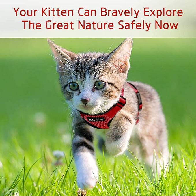 rabbitgoo Cat Harness and Leash for Walking, Escape Proof Soft Adjustable Vest Harnesses for Cats, Easy Control Breathable Reflective Strips Jacket, Red, S