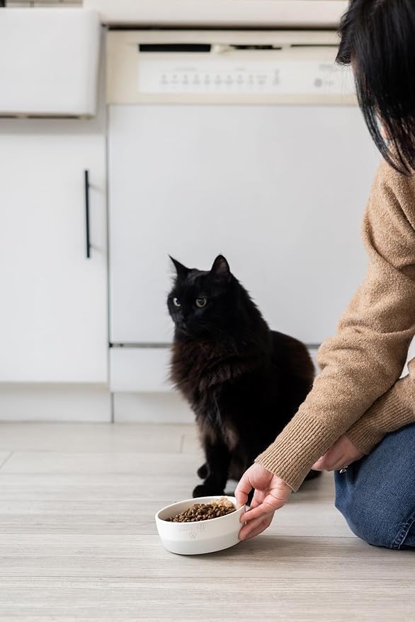 Pearhead Paws Off Ceramic Cat Bowl, Holds 1.3 Cups, Small Food and Water Bowl for Cats, Pet Dish, Microwave and Dishwasher Safe