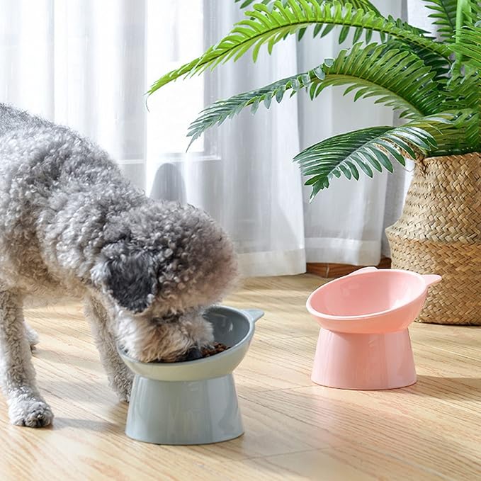 Tilted Elevated Cat Food Bowl - Whisker Friendly Anti Vomiting Slanted Cat Feeding Bowls, Shallow & Tall (Pink)