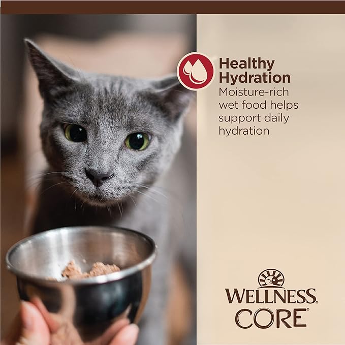 Wellness CORE Tiny Tasters Wet Cat Food, Complete & Balanced Natural Pet Food, Made with Real Meat, 1.75-Ounce Pouch, 12 Pack (Adult Cat, Minced Chicken & Beef in Gravy)